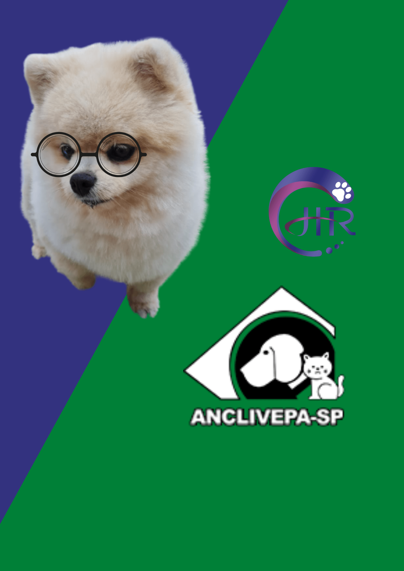 Anclivepa – Facectomia