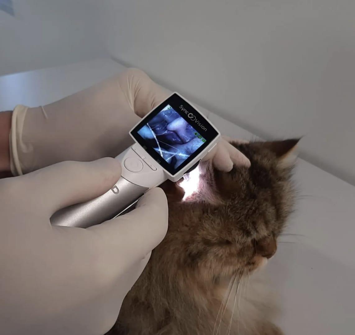 Otoscópio Digital SyncVision VET MD